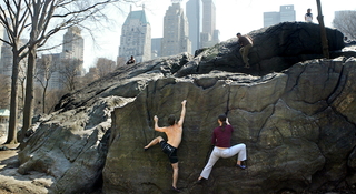 Illustration for article titled How an Ancient Mountain Range Made NYC's Skyscrapers Possible
